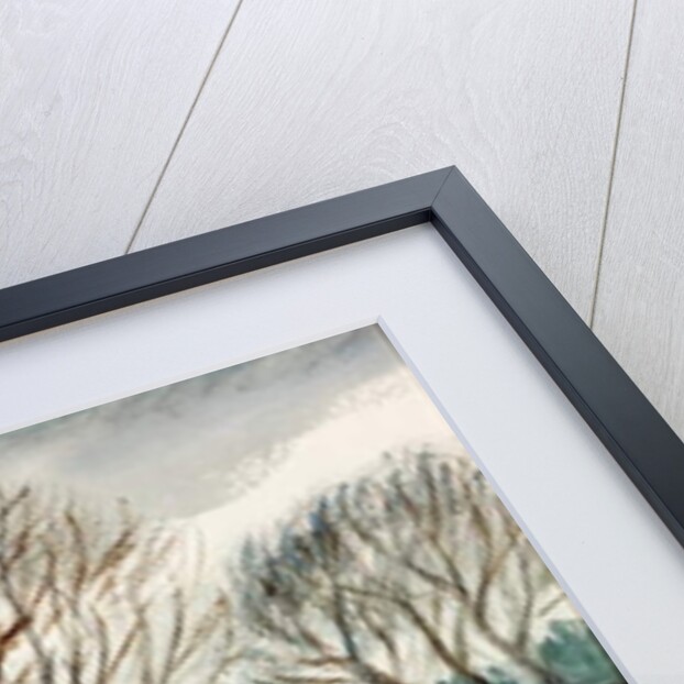 Willows by Christopher Richard Wynne Nevinson