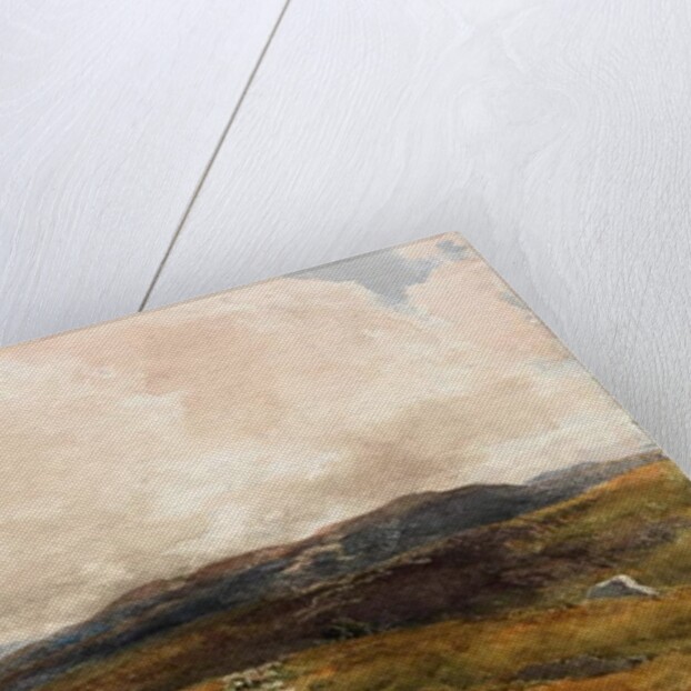 Moorland Scene by Thomas Collier