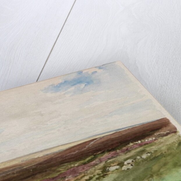 Moorland near Hart Leap Well, Yorkshire by Thomas Collier