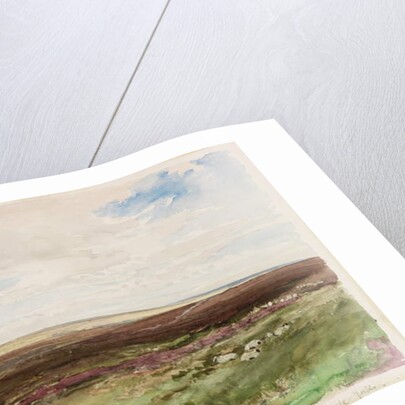 Moorland near Hart Leap Well, Yorkshire by Thomas Collier