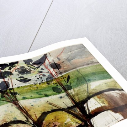 Sea Plants by Charles William Bartlett