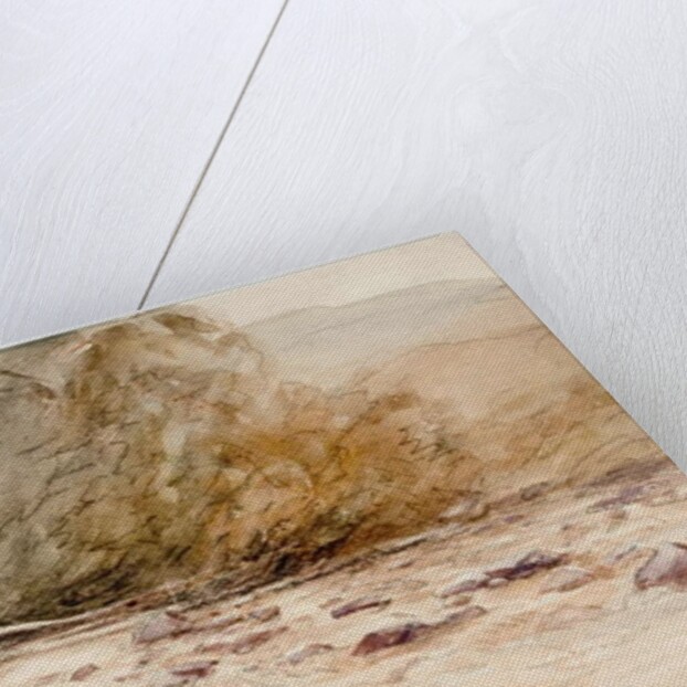 A Mountainous Stream by David Cox