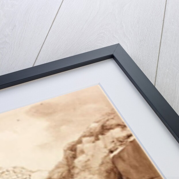 Cats' Stairs by Henry Burdon Richardson