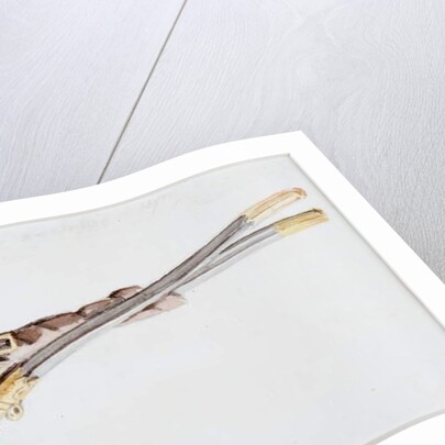 Two Swords by John Wilson Carmichael