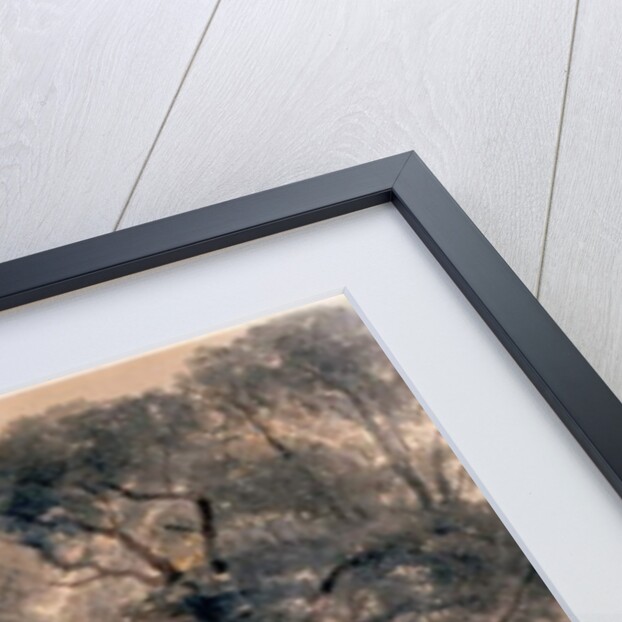 Weybridge Meadows by Peter de Wint