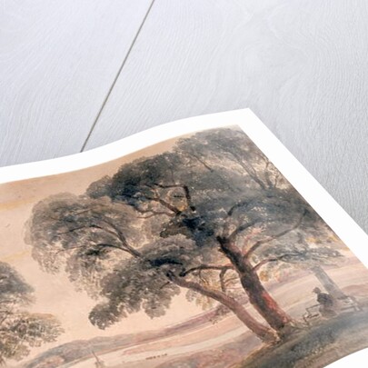 Weybridge Meadows by Peter de Wint