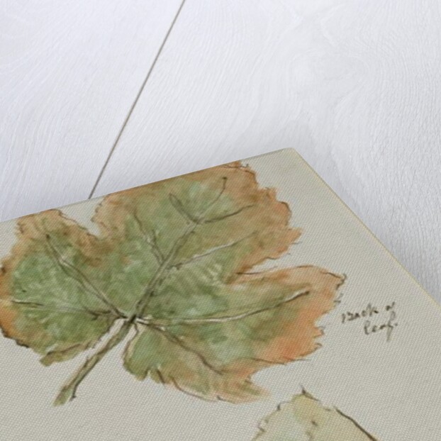 The Grape Leaf by John Wilson Carmichael