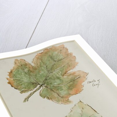 The Grape Leaf by John Wilson Carmichael