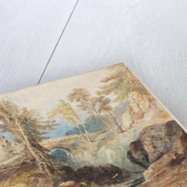 Saltwell Dene, Saltwell Park by Thomas Miles Richardson