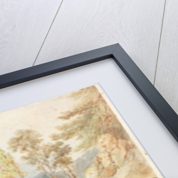 Saltwell Dene, Saltwell Park by Thomas Miles Richardson