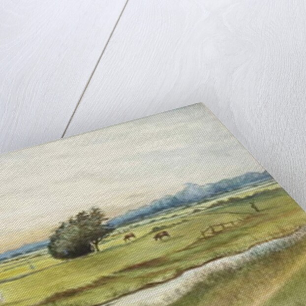 Ryton Meadows by James Henry Cleet