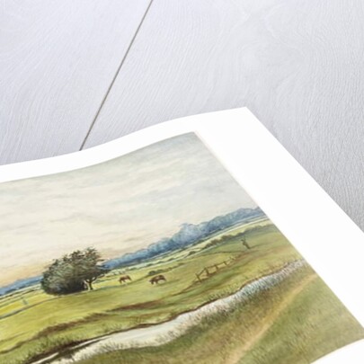 Ryton Meadows by James Henry Cleet