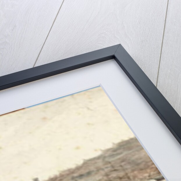 Trinity Boy House by James Henry Cleet