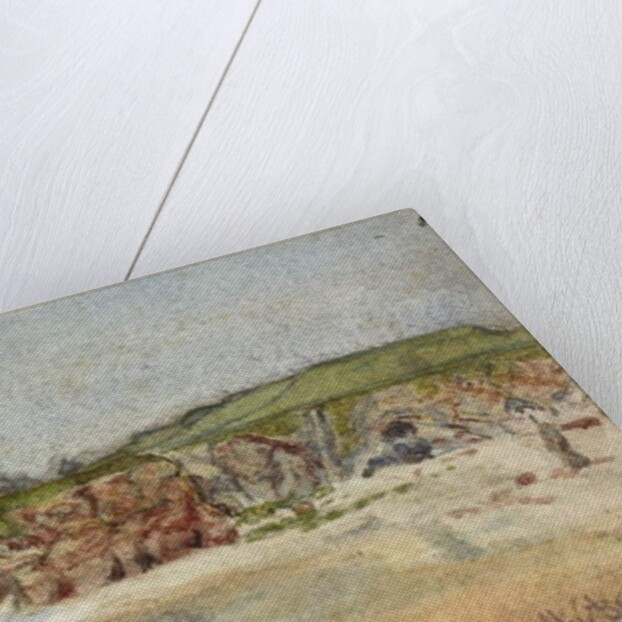 Marsden Bay 1877 by James Miller Brown