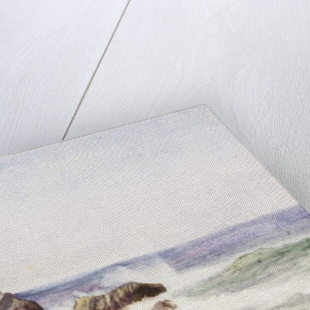 Trow Rocks by James Miller Brown