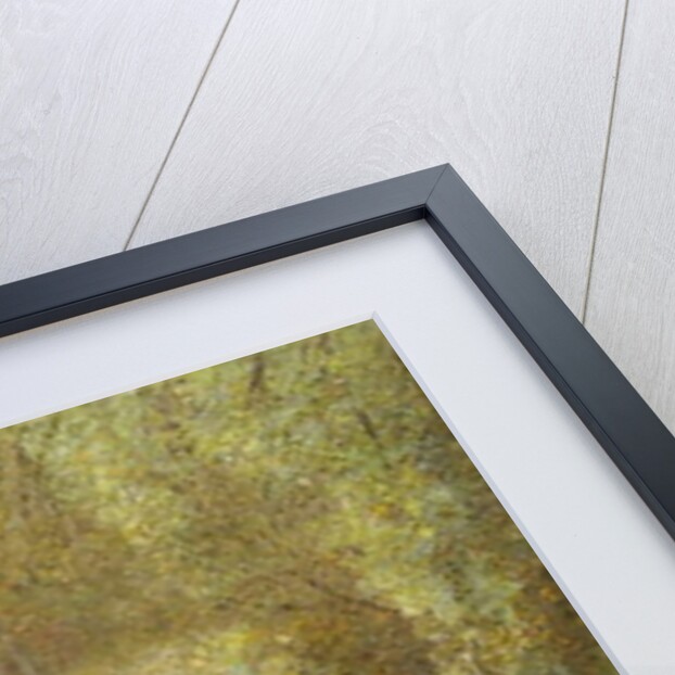 Dry Watercourse by Arthur Lowe