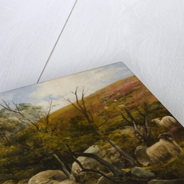 On the Black Burn, near Rothbury by Robinson Elliott