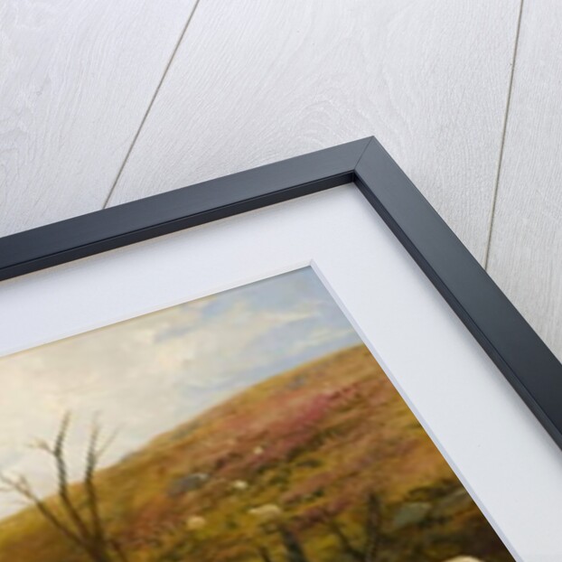 On the Black Burn, near Rothbury by Robinson Elliott