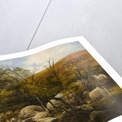 On the Black Burn, near Rothbury by Robinson Elliott