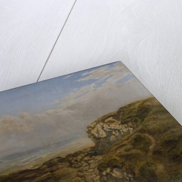 Trow Rocks, South Shields by Charles George Jefferson