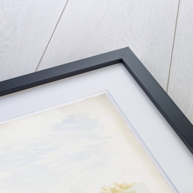 c.1916 by Daniel Oliver