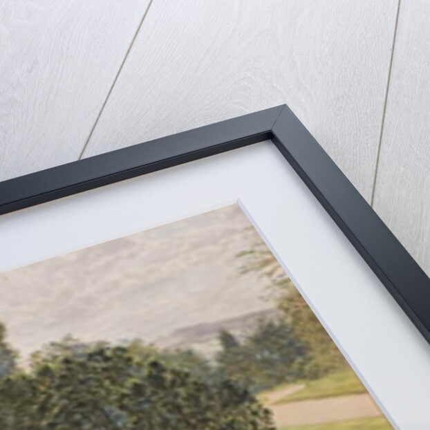 Temple of Antenociticus, Benwell by Wilson Hepple