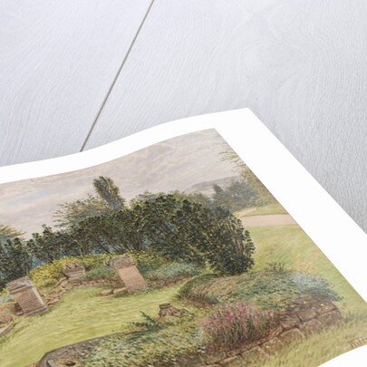 Temple of Antenociticus, Benwell by Wilson Hepple