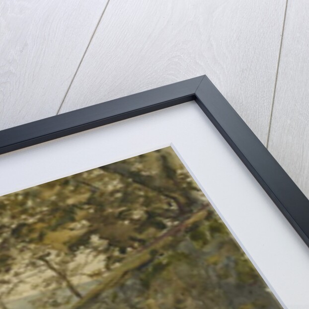 View of the Barrack Walls on the Leazes, Newcastle upon Tyne by Henry Burdon Richardson