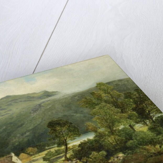 View in Borrowdale by James Peel