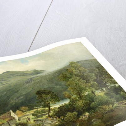 View in Borrowdale by James Peel