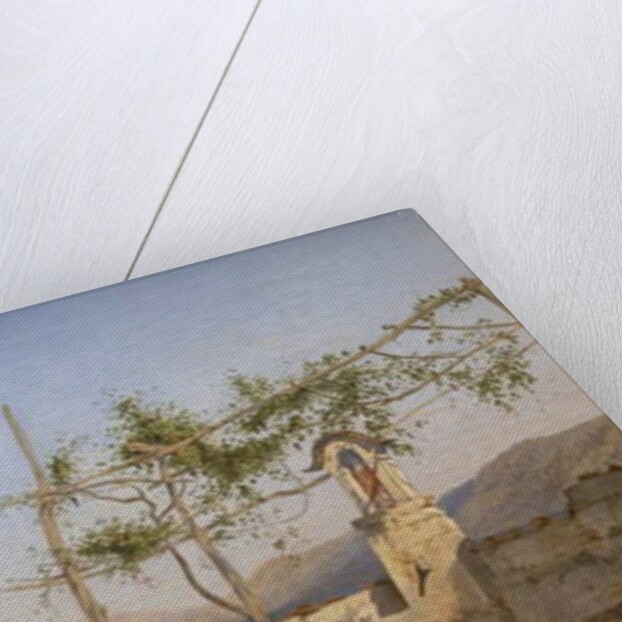 Trellis Vine on the Lake of Lugano by William Wilthieu Fenn