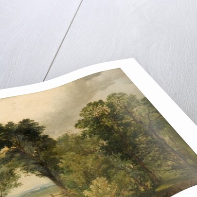 A Woodland Glade by Edward Calvert