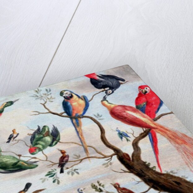 The Chorus of Birds, c.1650-1675 by Jan Thomasz. van Kessel