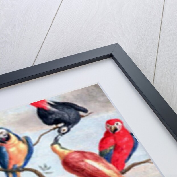 The Chorus of Birds, c.1650-1675 by Jan Thomasz. van Kessel