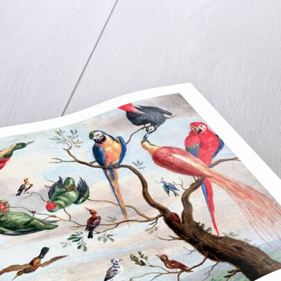 The Chorus of Birds, c.1650-1675 by Jan Thomasz. van Kessel