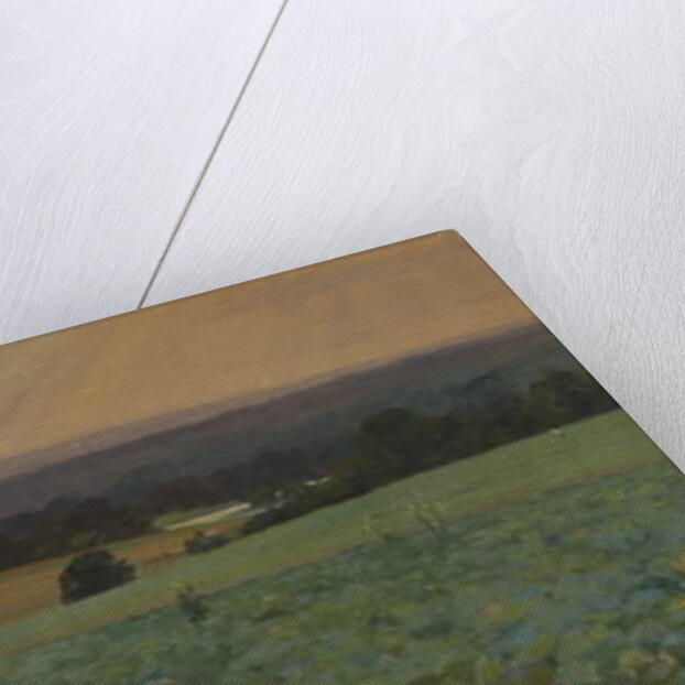 Turnip Field by William Cosens Way