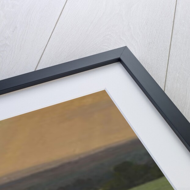 Turnip Field by William Cosens Way