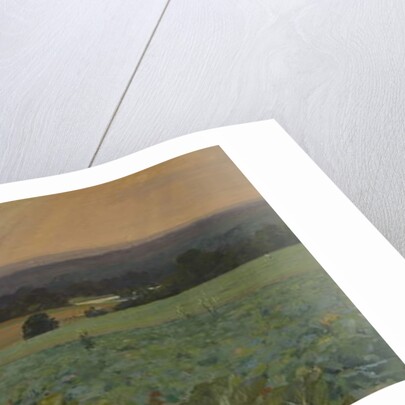 Turnip Field by William Cosens Way