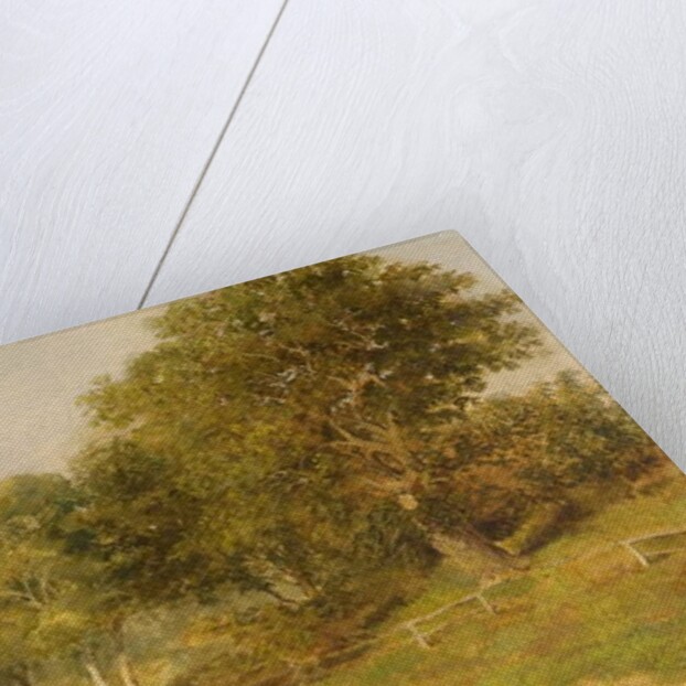 Road to Redheugh Hall, 1856 by William Ryott