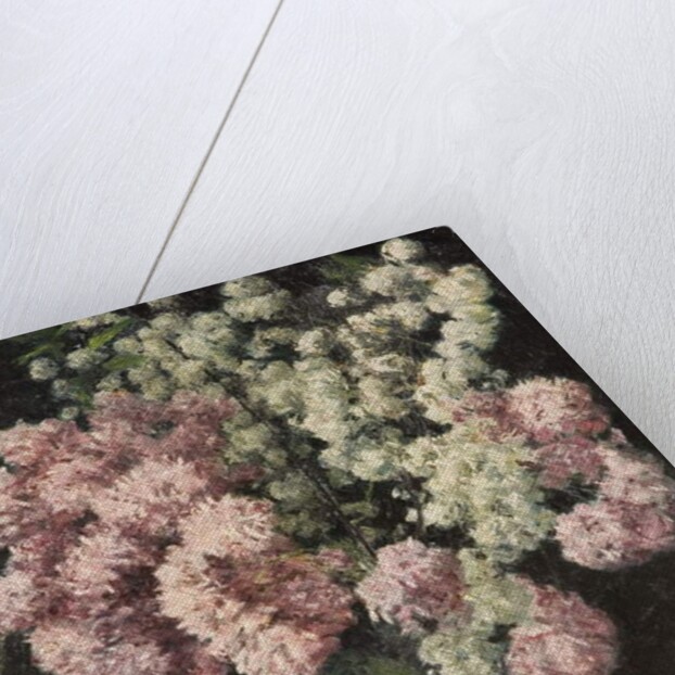 Flower Study, 1944 by Arthur Segal