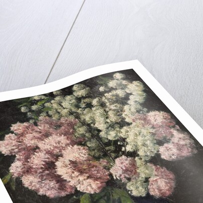 Flower Study, 1944 by Arthur Segal