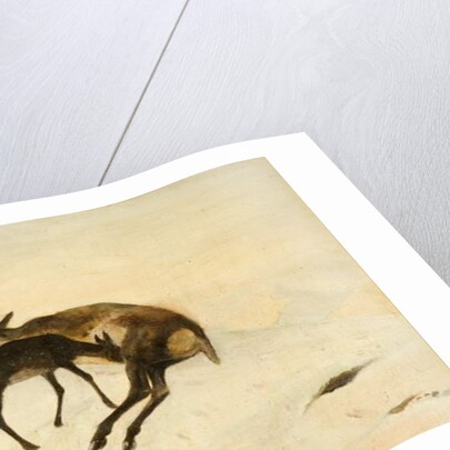 A Random Shot by Edwin (after) Landseer