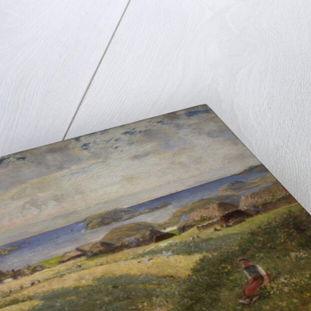 Crofts on the Island of Lewis by David Murray