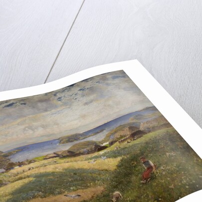 Crofts on the Island of Lewis by David Murray