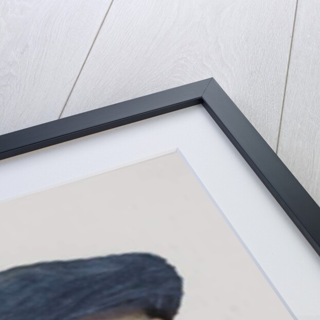 Man's Head, 1885 by James Hayllar