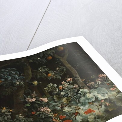 Foliage, Flowers and Birds, 1796 by Philip Reinagle