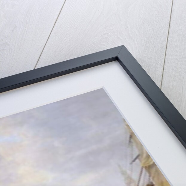 The Mayor's Barge on the Tyne, 1828 by John Wilson Carmichael