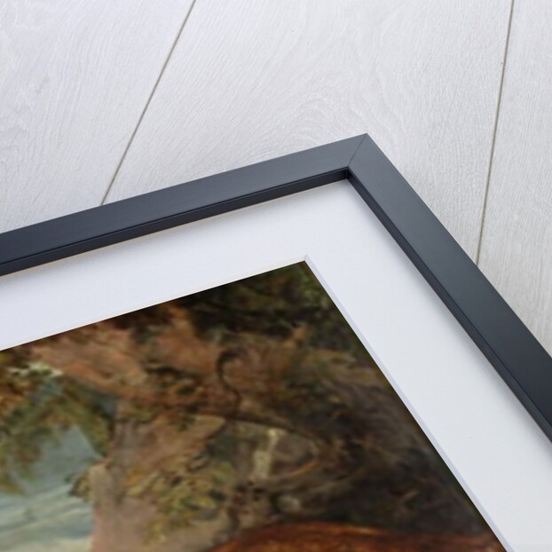 The Lioness, c.1824-27 by John Frederick Lewis