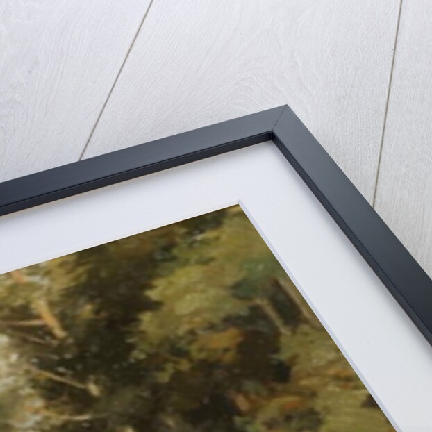 Avenue of Cryptomeria Leading to the Temple of Fiaharajinshu, Nikko, Japan, 1890 by John Jnr. Varley