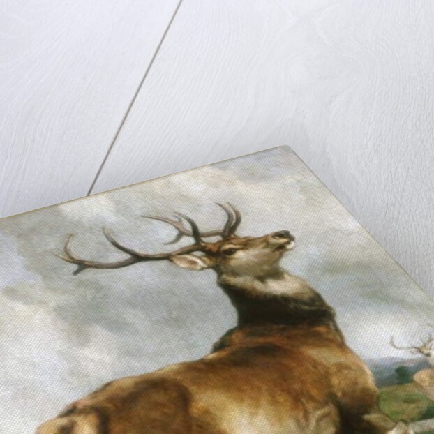 Deer of Chillingham Park, Northumberland, c.1867 by Edwin Landseer